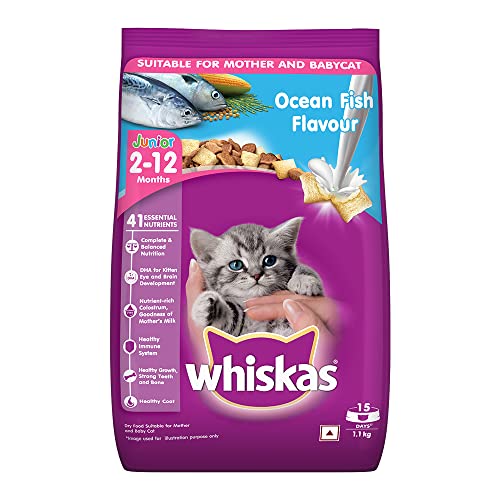 Whiskas Kitten (2-12 months) Dry Cat Food Food, Ocean Fish, 1.1kg Pack